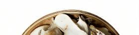 Dried Organic Grey Tiger Paw Mushroom