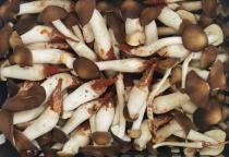 Organic Yunjizong Mushroom